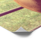 Soft Focus Scotch Poster (Hoek)