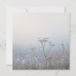 Soft Frosty Morning Nature Kaart