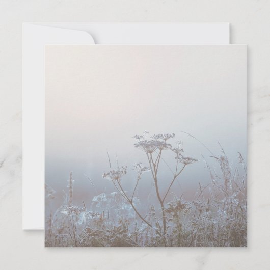Soft Frosty Morning Nature Kaart (Voorkant)