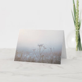 Soft Frosty Morning Nature Sympathy Kaart