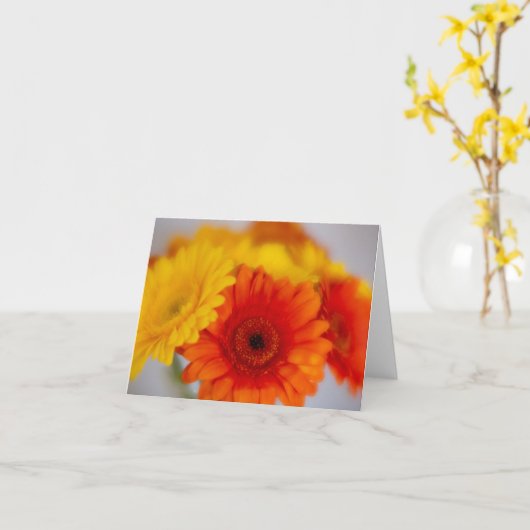 Soft Gerber Bunch Kaart (Gele Bloem)