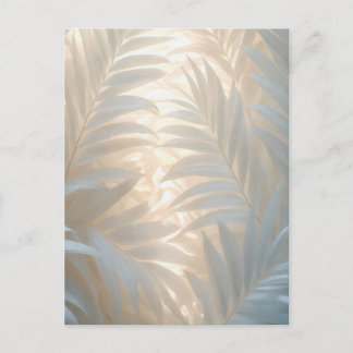 Soft gold of white tropics, pastel palm leaves briefkaart