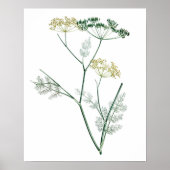 Soft Green Botanical IV Poster (Voorkant)