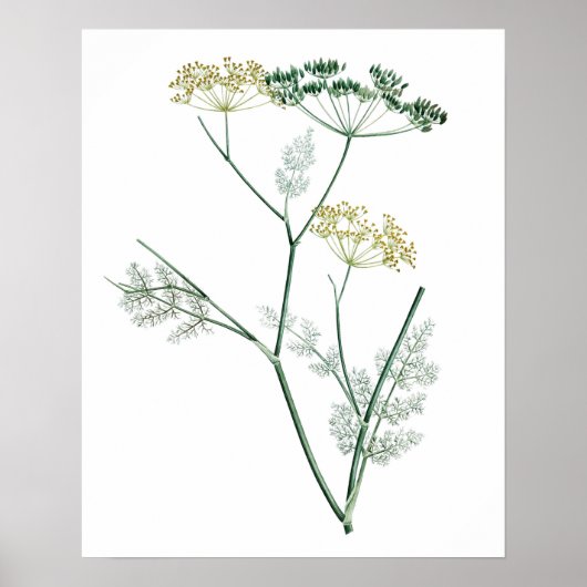 Soft Green Botanical IV Poster (Voorkant)