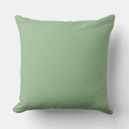 Soft Green,Lovely, Solid, Modern, Simple, Trendy Kussen