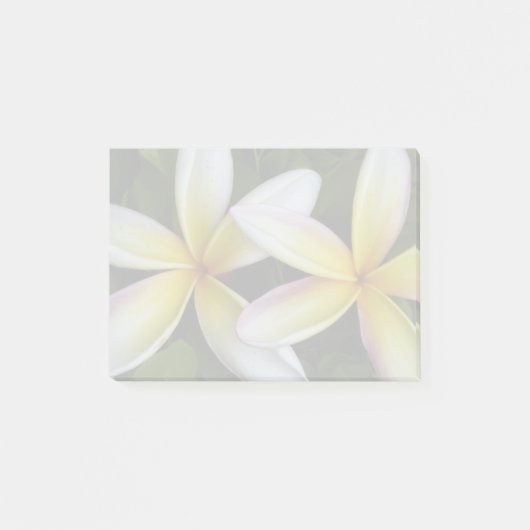 Soft Hawaiian Plumerias Post-it® Notes (Voorkant)
