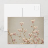 Soft Heart Blossom Postcard – Romantic Botanical  Briefkaart (Voorkant / Achterkant)