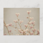 Soft Heart Blossom Postcard – Romantic Botanical  Briefkaart (Voorkant)