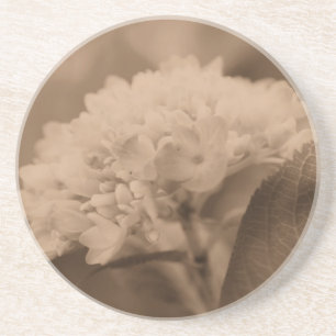 Soft Hydrangea Sepia Floral Onderzetter