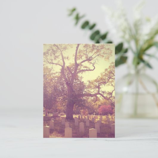 Soft Light Graveyard Briefkaart (Staand voorkant)