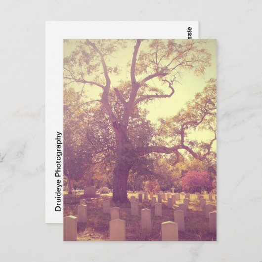 Soft Light Graveyard Briefkaart (Voorkant / Achterkant)