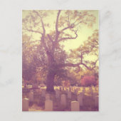 Soft Light Graveyard Briefkaart (Voorkant)