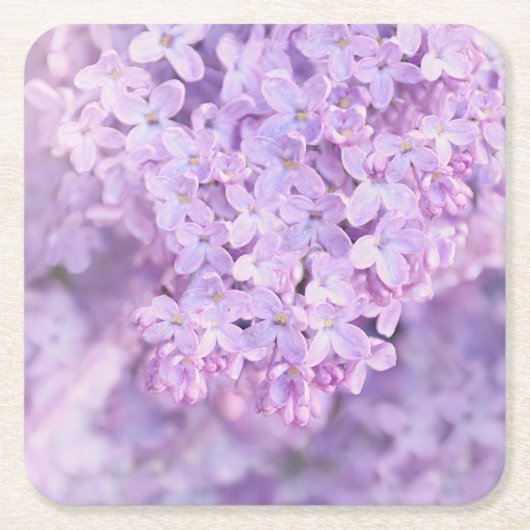 Soft Paars French Lilacs Kartonnen Onderzetters (Voorkant)