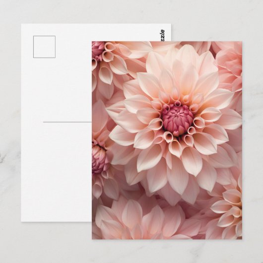 soft pastel colored dahlia flower  briefkaart (Voorkant / Achterkant)
