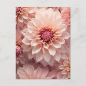 soft pastel colored dahlia flower  briefkaart (Voorkant)