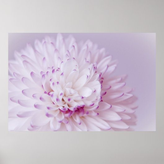 Soft Pastel Flower Photography Poster (Voorkant)
