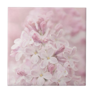 Soft Pastel Pink French Lilacs Tegeltje