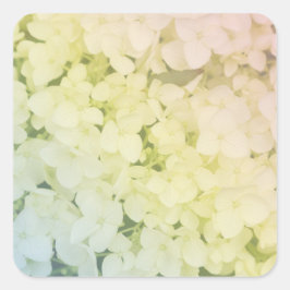  Soft Pastel Rainbow Hydrangea Vierkante Sticker