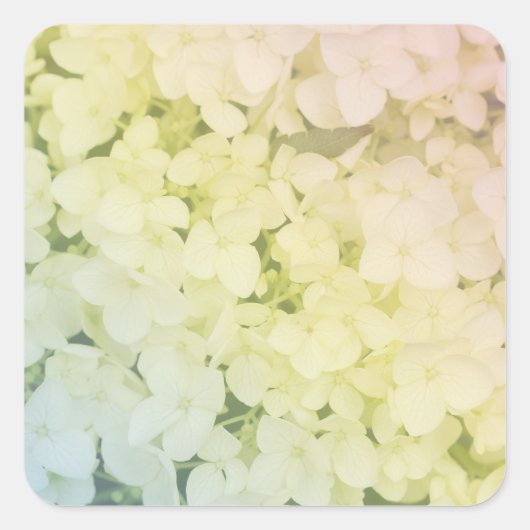  Soft Pastel Rainbow Hydrangea Vierkante Sticker (Voorkant)