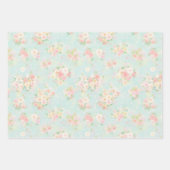 Soft Pastel Roos Pattern op Aqua achtergrond Inpakpapier Vel (Voorkant 2)