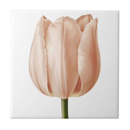 Soft Peach Tulip Botanical Art Design Tegeltje (Voorkant)