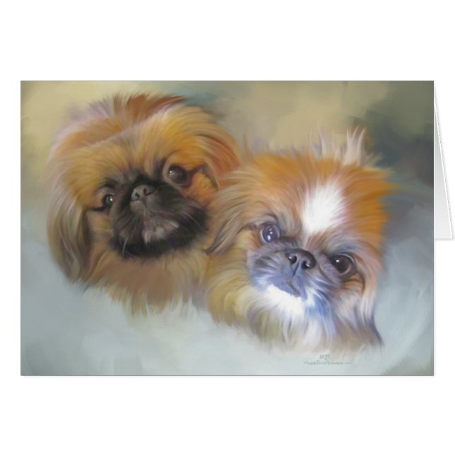 Soft Pekingese Duo (Voorkant Horizontaal)