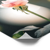 Soft Petals, Gentle Glow 🌸 Poster (Hoek)