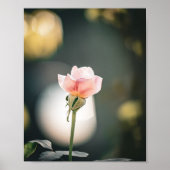 Soft Petals, Gentle Glow 🌸 Poster (Voorkant)