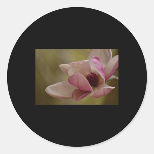 Soft Pink Dreams Bloeiende Sticker (Voorkant)