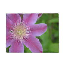 Soft Pink en Green Clematis