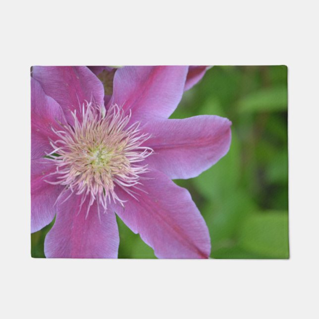 Soft Pink en Green Clematis Deurmat (Voorkant)