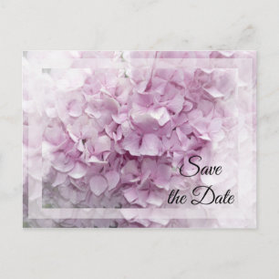 Soft Pink Hydrangea Wedding Save the Date Aankondigingskaart