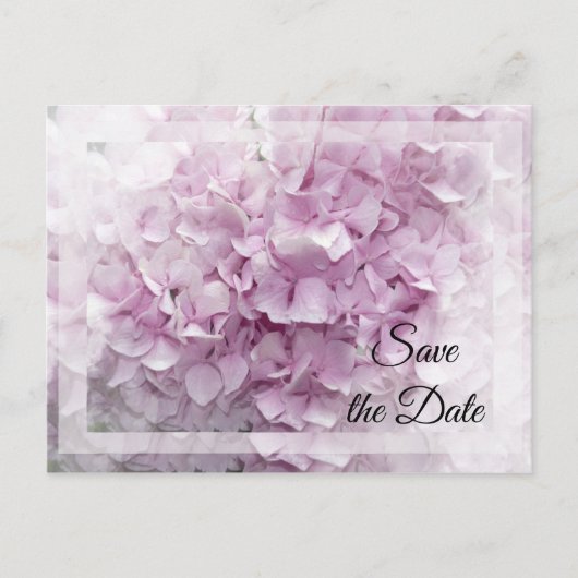 Soft Pink Hydrangea Wedding Save the Date Aankondigingskaart (Voorkant)