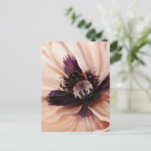 Soft Pink Poppy Briefkaart (Staand voorkant)