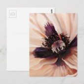 Soft Pink Poppy Briefkaart (Voorkant / Achterkant)