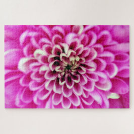 Soft Pinks Chrysanthemum Legpuzzel
