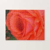 Soft Red Rose Petals - 11x14 - 252 stuks Legpuzzel (Horizontaal)