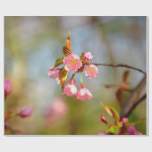 Soft roze Tender Sakura Flowers Cadeaupapier (Vlak)