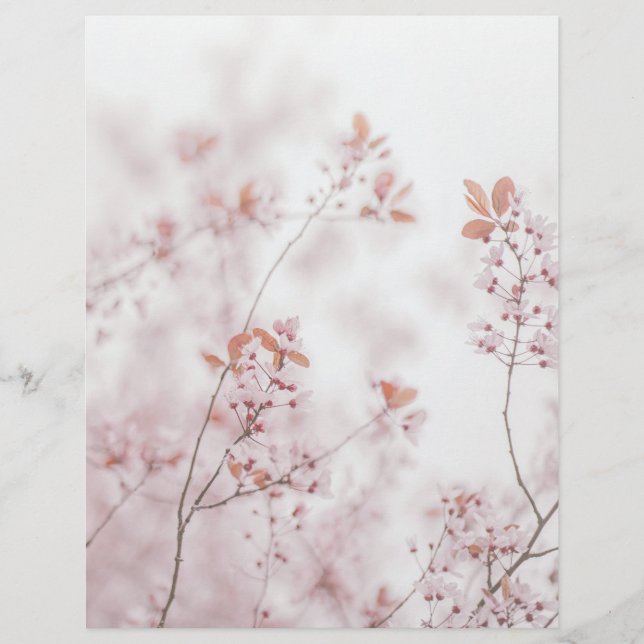 Soft sakura blooms scrapbook paper (Voorkant)