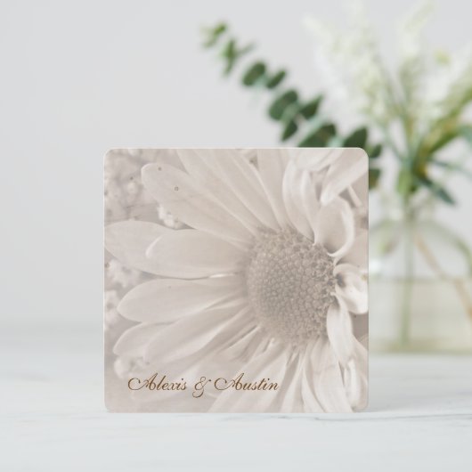 Soft Sepia Wedding Daisy Kaart (Staand voorkant)