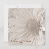 Soft Sepia Wedding Daisy Kaart (Voorkant)