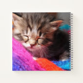 Soft Sleepy Newborn Kitten Phototgraph Notitieboek (Achterkant)