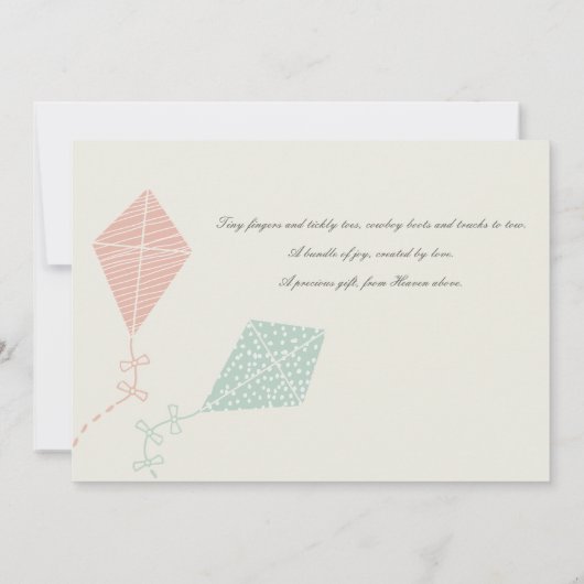 SOFT SUBTLE PINK BLUE KITE BABY SHOWER KAART (Achterkant)