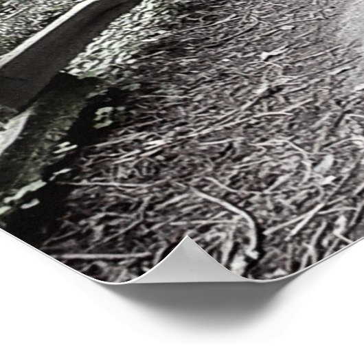 Soft Tint Rustic Path door de Bossen Poster (Hoek)