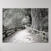 Soft Tint Rustic Path door de Bossen Poster (Voorkant)