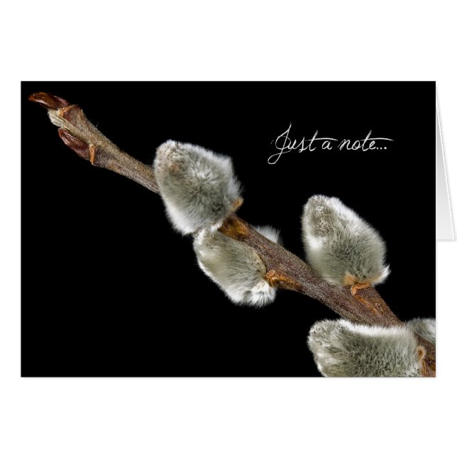 Soft touch (Voorkant Horizontaal)