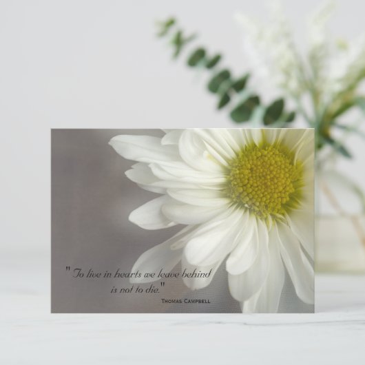 Soft White Daisy Bedankt voor je sympathie (Staand voorkant)