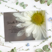 Soft White Daisy Marriage/Elopement Announement Aankondiging