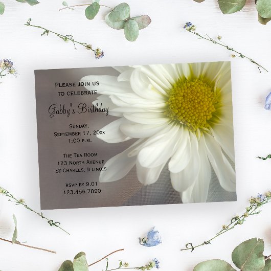 Soft White Daisy op Grey Birthday Party Kaart