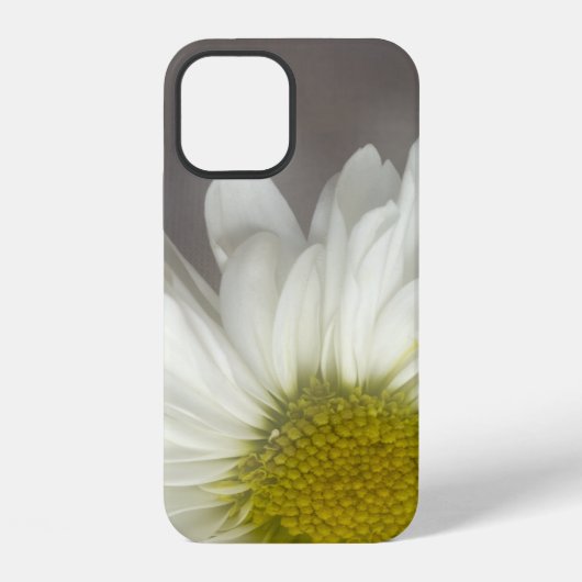 Soft White Daisy op Grey iPhone Hoesje (Achterkant)